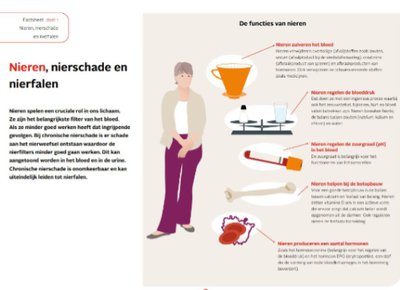 Factsheet Nieren, nierschade en nierfalen
