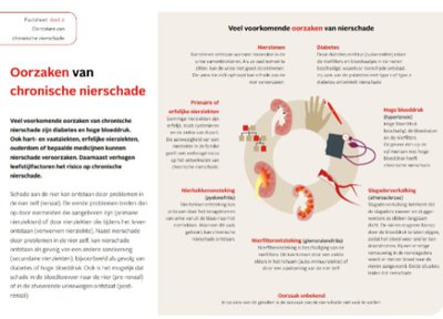 Factsheet Oorzaken van chronische nierschade