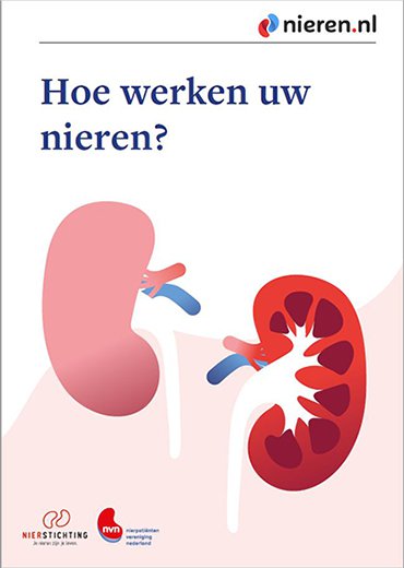 Hoe werken uw nieren